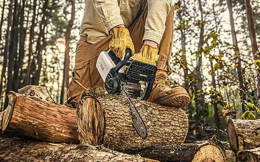 10 Chainsaw and Mini Chainsaw Maintenance Tips for Homeowners cover