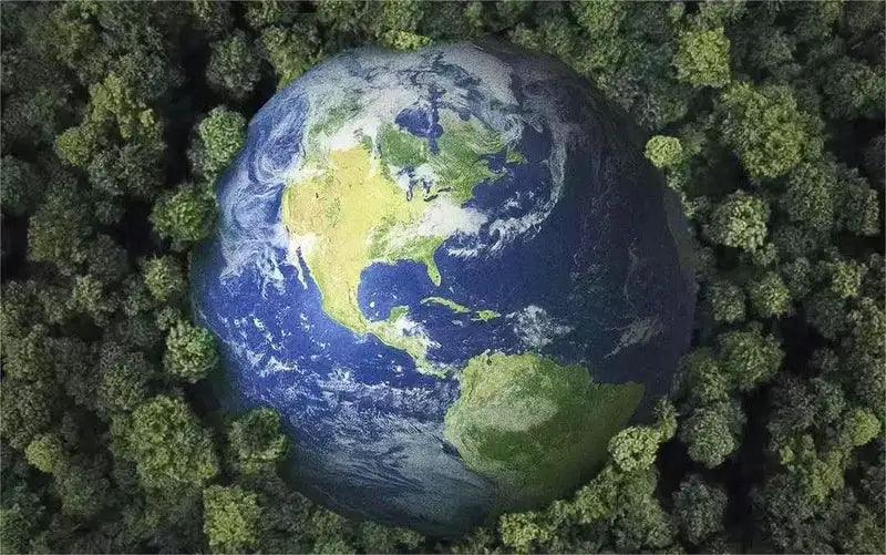 Celebrate Earth Day With Litheli‘s eco-friendly portable powers
