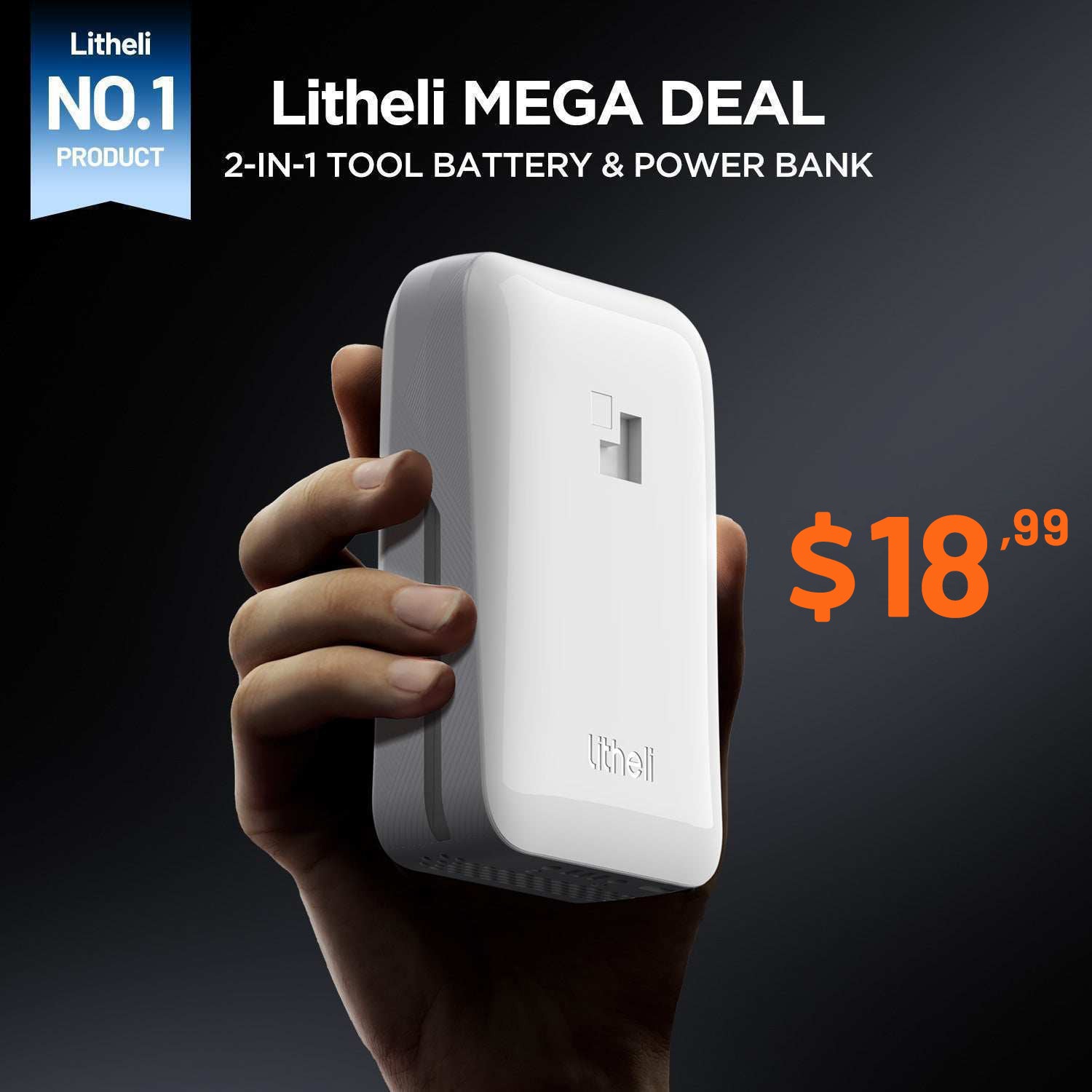 Litheli 4.0Ah 20V 2-in-1 Tool Battery & Power Bank