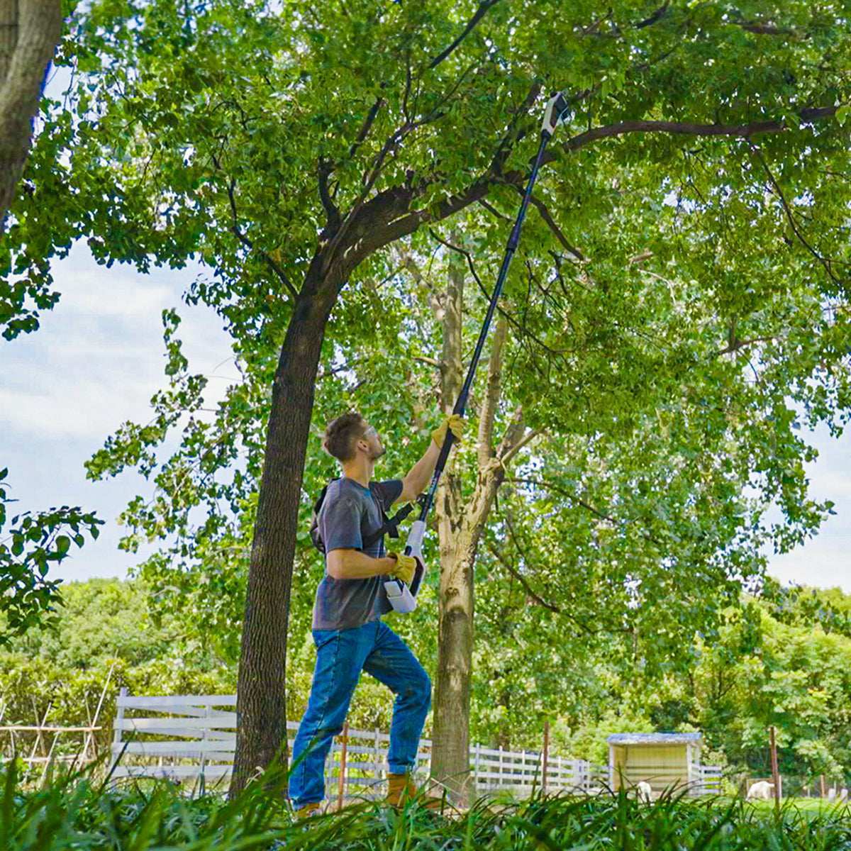 Homeowner using Litheli 20V cordless pole saw to trim tall tree branches without ladder