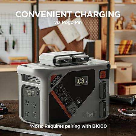 Universal Litheli U20 series charger – one power source for cordless garden tools, outdoor equipment, and DIY devices