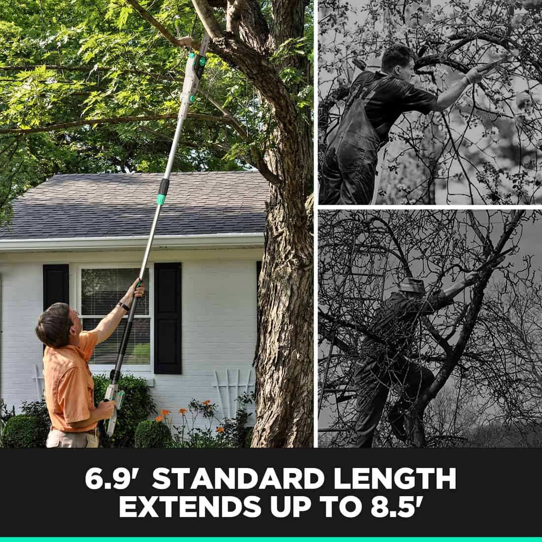 Litheli 20V 10″ Cordless Pole Saw Telescopic for Tree Trimming with 2.0Ah Battery & Charger