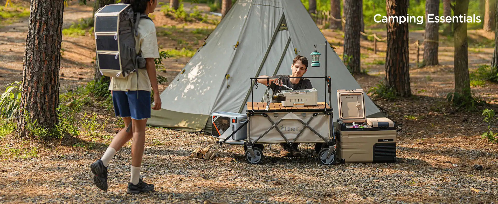 electric wagon