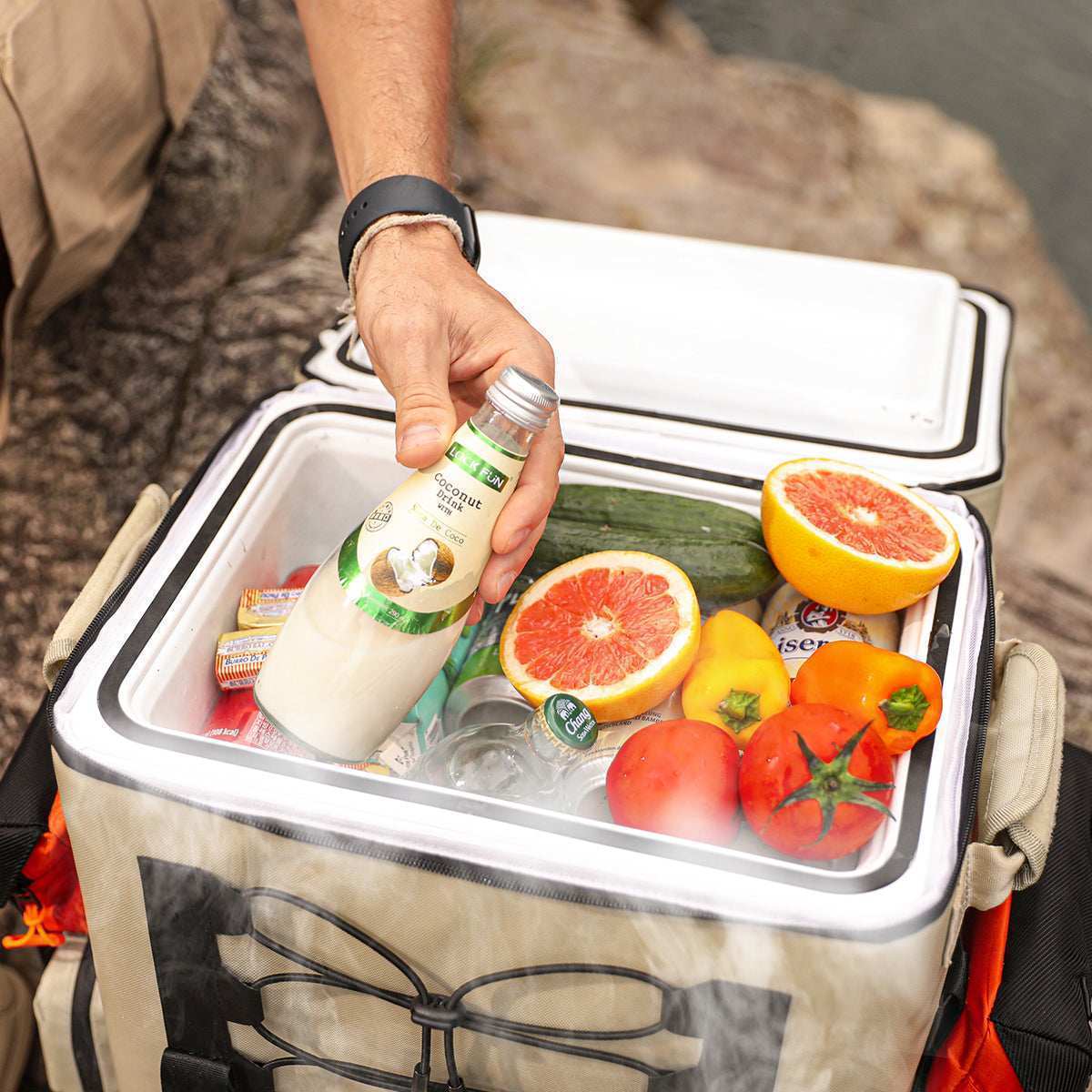 Litheli FrozenPack: The First Backpack Car Fridge|Includes 2 x 4.0Ah  Batteries options