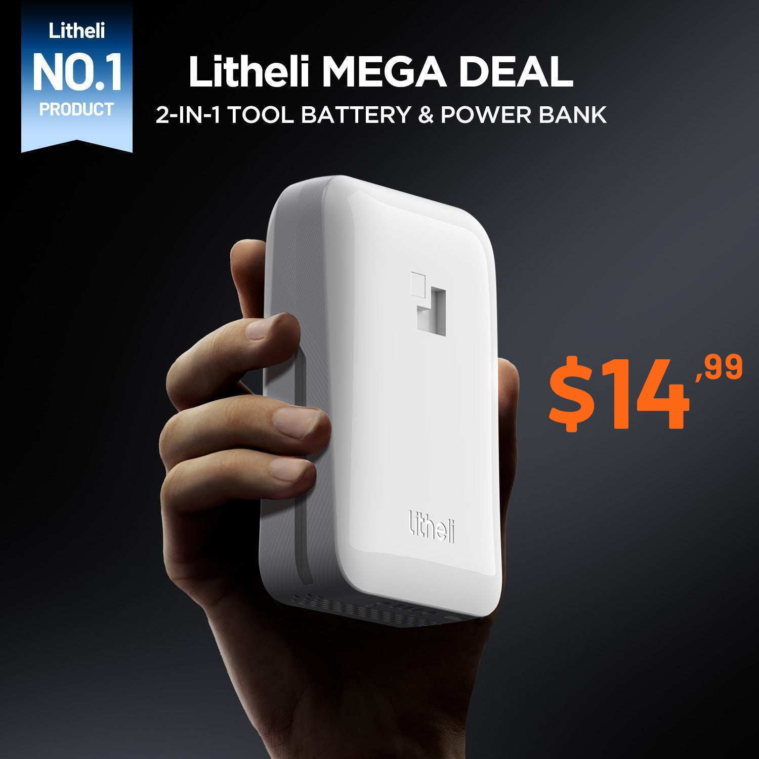 Litheli 2.0Ah 20V 2-in-1 Tool Battery & Power Bank