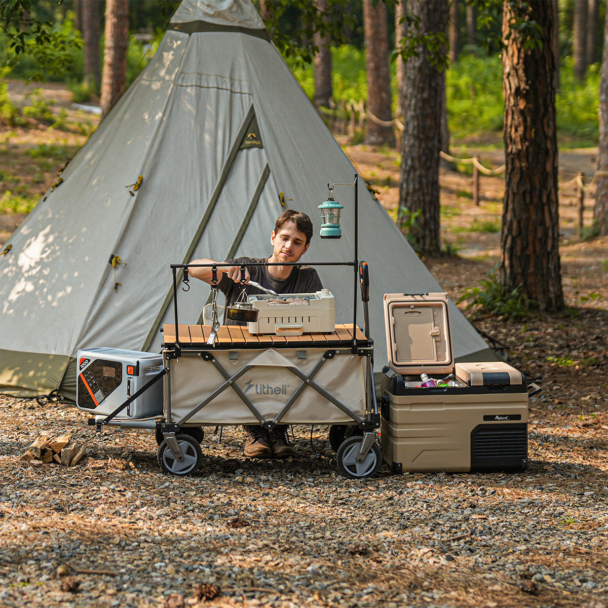 Litheli Electric Foldable Utility Camping Wagon with Power Bank without Battery