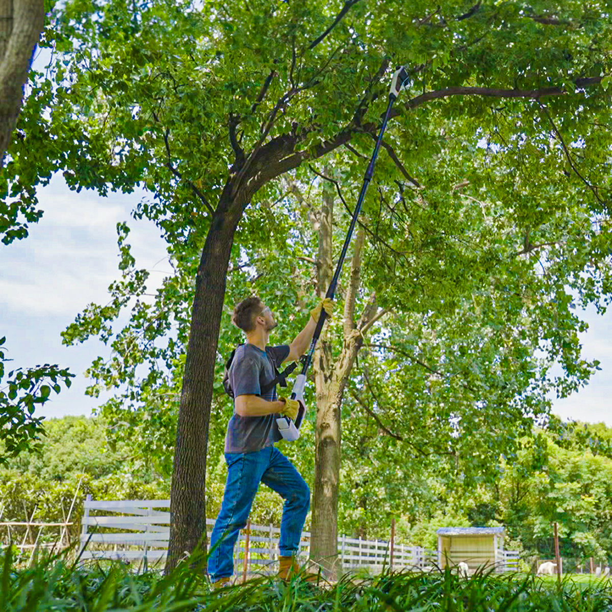 Litheli U20 8" Electric Cordless Pole Saw for Tree Trimming with 2.5Ah Battery