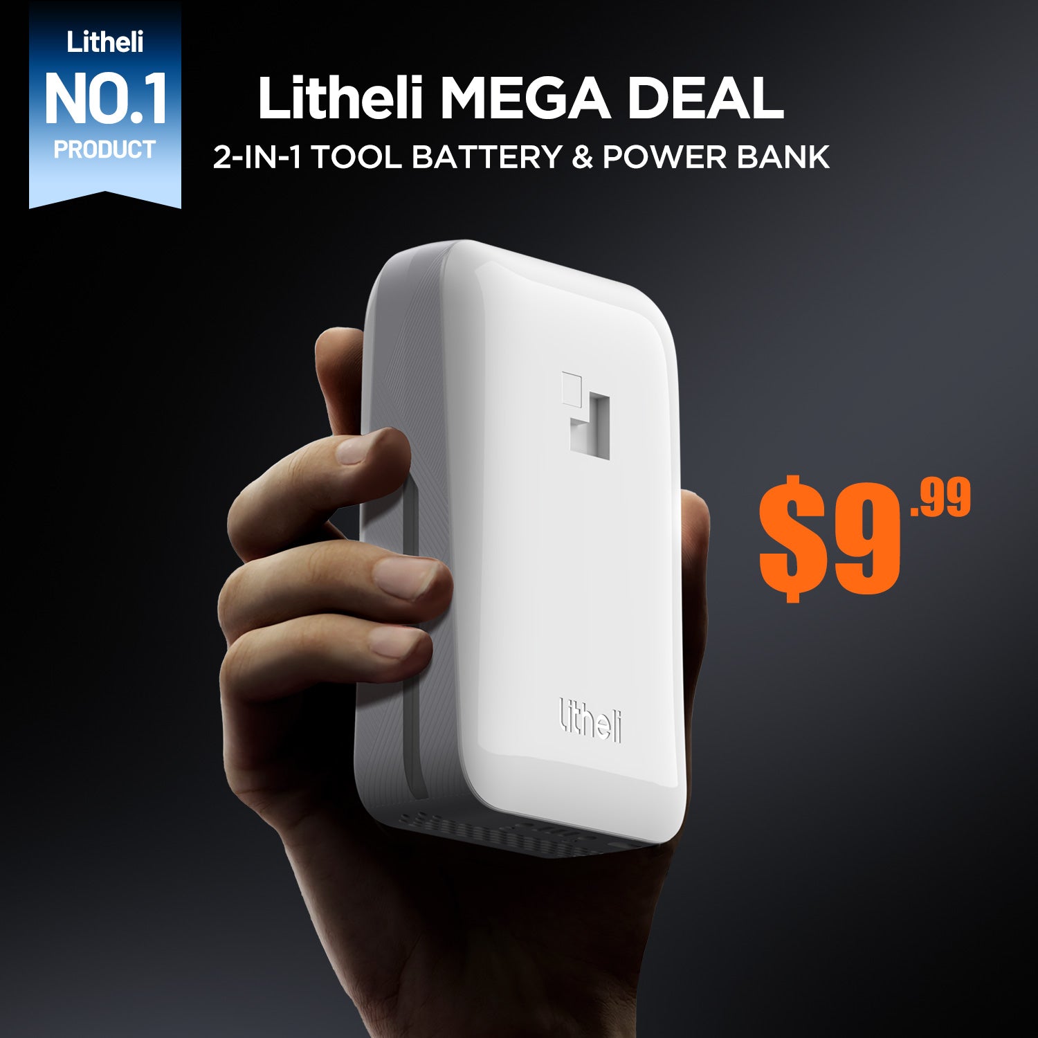 Litheli 2.0Ah 20V 2-in-1 Tool Battery & Power Bank