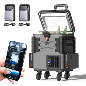 Litheli FrozenPack: The First Backpack Car Fridge | Includes 2 x 4.0Ah Ultra Batteries | 20L/21QT