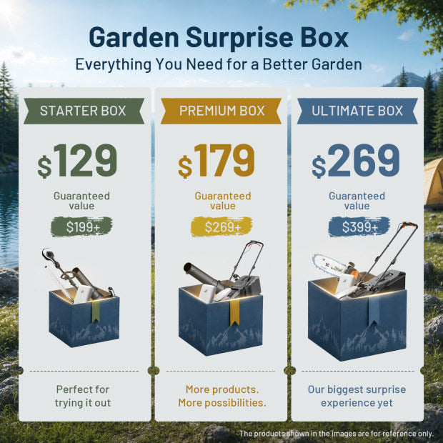 Litheli Mystery Box Series | Guaranteed Great Value for Money——Graden Series