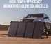 Litheli 100W Solar Panel
